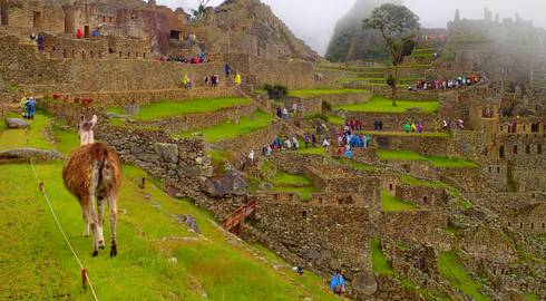 LIMA to LIMA (15 days) Peru Encompassed