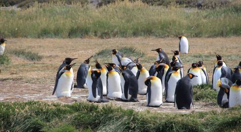 SANTIAGO to RIO (58 days) Coast to Coast via Patagonia