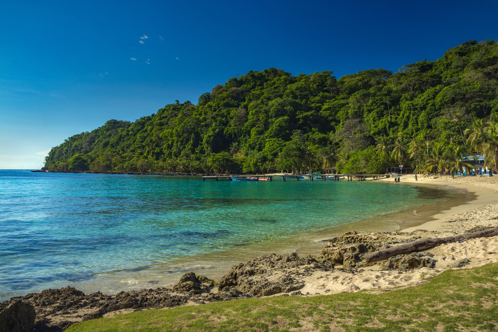 dolphin boat trips from falmouth